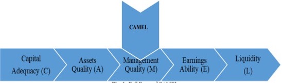 CAMEL Rating System